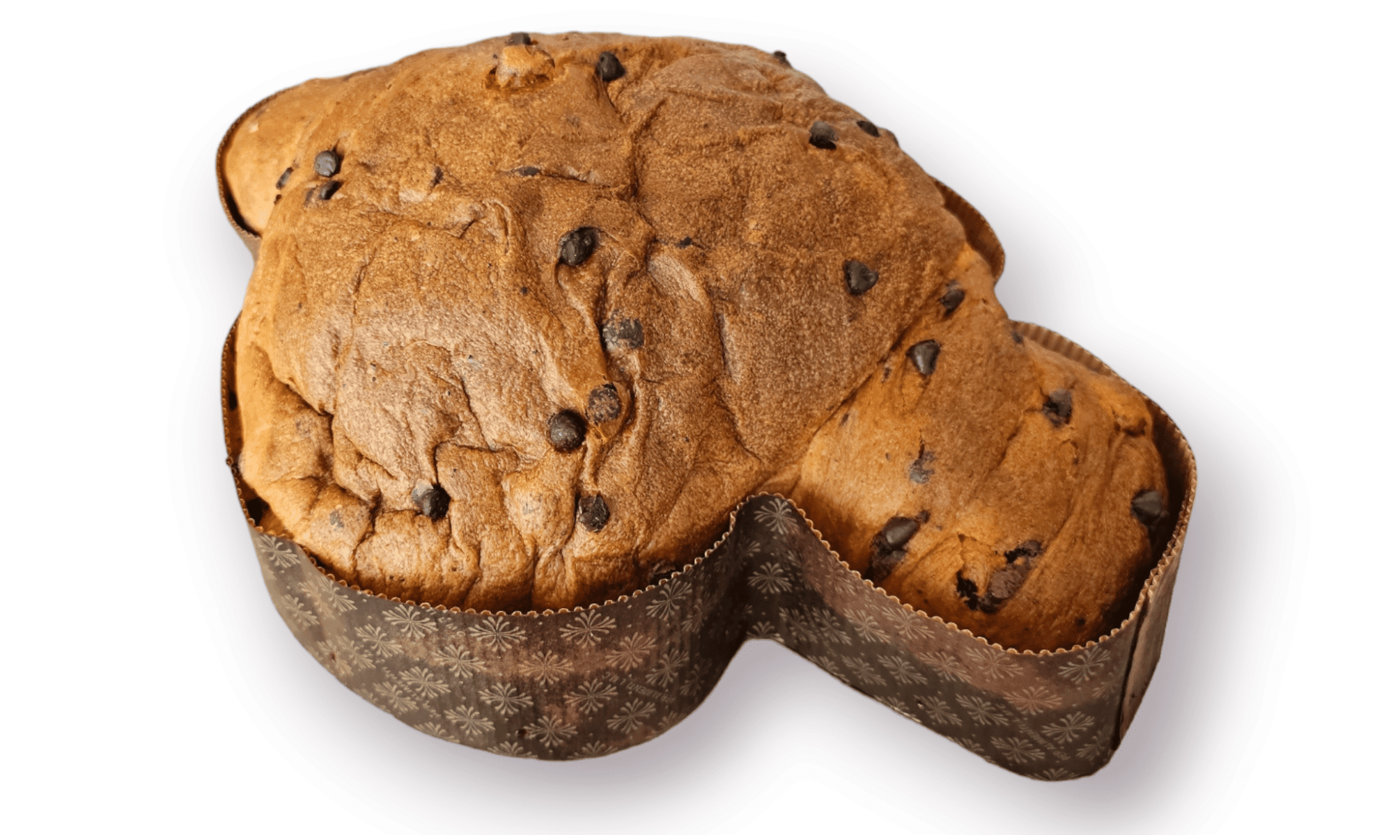 colomba cioccolato cramberry